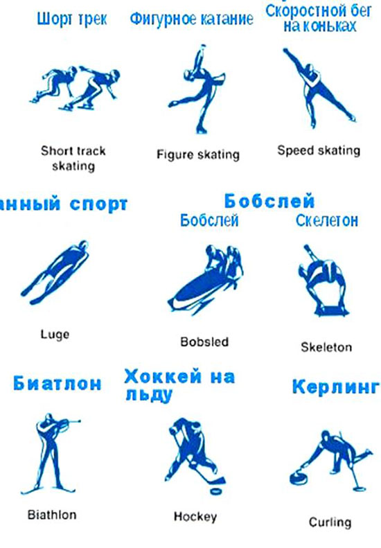 Виды спорта на зимней Олимпиаде