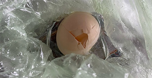 позволяем пакету упасть с высоты 1 метр, яйцо разбилось