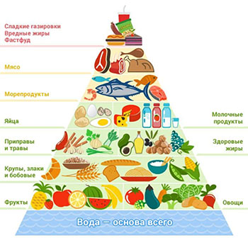 пирамида питания
