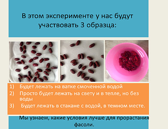 приготовления к эксперименту