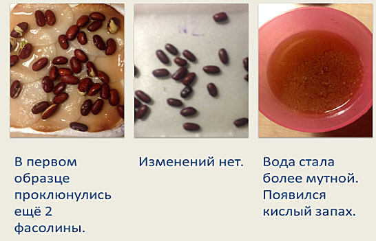прошло 4 дня