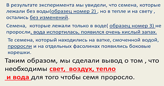выводы по итогам эксперимента