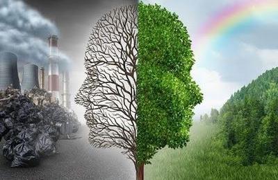 Экология и здоровье человека